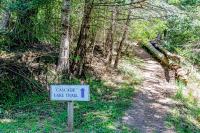 Cascade Bay Getaway - Ferienwohnung Eastsound