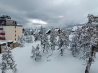 Les myrtilles La Pierre Saint Martin - B&B Arette