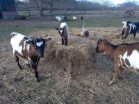 Casa con 2 Camere da Letto