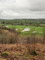 Yn Y Coed Tanyrallt - B&B Llanybydder