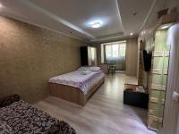 B&B Turksib - Однокомнатная квартира напротив Аэропорта Алматы - Bed and Breakfast Turksib