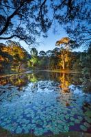 Suite met Queensize Bed en Uitzicht op het Zwembad