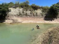 La maison d'hôte de la Forêt Retrouvée - Bed and Breakfast Mahajanga