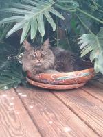 Doppelzimmer mit Gemeinschaftsbad