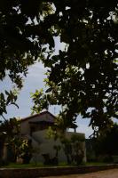Fattoria La Traccia - B&B