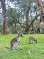 La cachette bushland hideaway - B&B Ironbank
