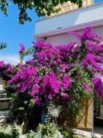 Apartment Lucija - B&B Privlaka