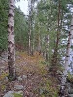 Rantamökki Naava - Ferienwohnung Hämeenlinna