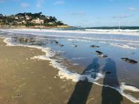 Grand duplex familial au cœur de Perros-Guirec - B&B
