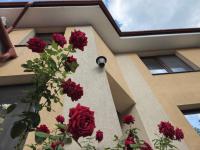 Pensiunea Sun Victor - Ferienwohnung Băile Felix