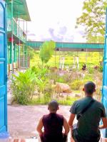 Deluxe Double or Twin Room with Garden View