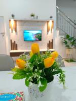 TGG Homestay with Netflix - B&B Kuala Terengganu