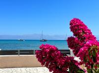 AMMOS Beach apartment - B&B Sidári