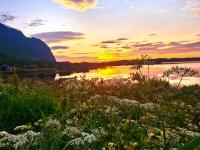 Lite hus ved sjøen - B&B Evjen