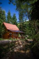 Pura Vida Forest Home - B&B