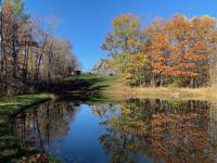 B&B Canaan - Not-so-tiny, Tranquil, Pond front Bungalow - Bed and Breakfast Canaan