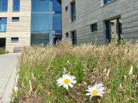Appartements Haus Augustinus - Bed and Breakfast Münster