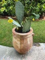 Maison Silvia - Bed and Breakfast