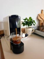 The Green House - Jacuzzi & Garden Escape - Ferienwohnung Temeswar
