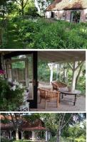 de Zeilende kraay - Bed and Breakfast Katwijk aan de Maas