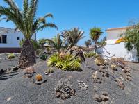 B&B El Roque - Casa Ina in El Roque, El Cotillo - Bed and Breakfast El Roque