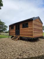 B&B Caernarfon - Woodland Shepherds Hut - 'Saga' - Bed and Breakfast Caernarfon