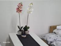 Mixed Dormitory Room