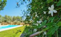 Accogliente villa con piscina - Chambres d’hôtes