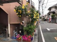 新宿の家-畳み3部屋 Maison à Shinjuku - pedalmi chambre 3 personnes - Ferienwohnung Tokio