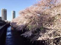新宿の家-畳み3部屋 Maison à Shinjuku - pedalmi chambre 3 personnes - Ferienwohnung Tokio
