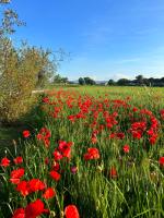Agriturismo IL GROTTINO - B&B Assisi