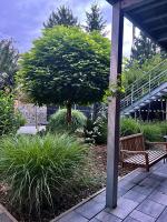 Appartement met Terras