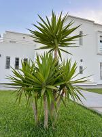 Villa Le Domaine Djerba Piscine Chauffée sans vis à vis - Chambres d'hôtes Mezraia