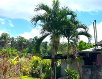 Dolce Vita Kreyol - B&B