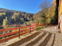 Apartmány Telnice - Medorhof - B&B Adolfov