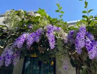 Camera Queen con Balcone