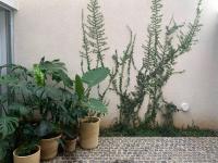 Design Apartment near City Center, Cool popular neighborhood - B&B