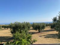 Villa Giannoula - B&B Gerakiní