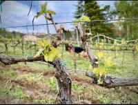 Tweepersoonskamer met Eigen Badkamer