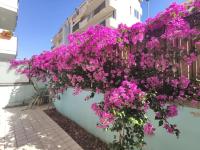 GardenHouse Un Angolo di Paradiso - Ferienwohnung Pescara