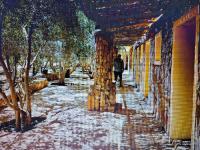 Fox Camp Farag - Ferienwohnung Saint Catherine