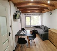 Studio with Sofa Bed