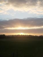 Off grid Rosie Sheperd hut and summerhouse plus 1 acre at Tanyrallt - B&B Llanybydder