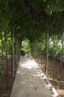 CasaTioManel - Bed and Breakfast