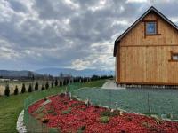 Rajskie wzgórze w Karkonoszach - B&B Łomnica