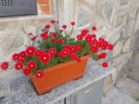 House Vittone Venaria Reale - Ferienwohnung