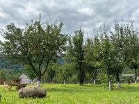 A Green Nest - B&B