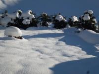 Apartment mit Terrasse