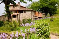 ISA-Farmhouse with swimming-pool in Chianti-area in the middle of Tuscan nature - Chambres d'hôtes Pelago