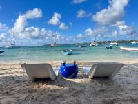 Appartement - Begane Grond